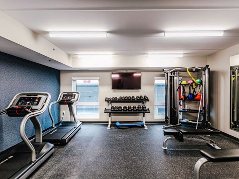 the gym has plenty of equipment and a tv