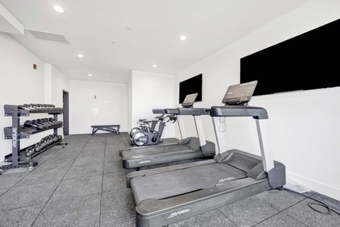A gym with treadmills, weights, and a bench.