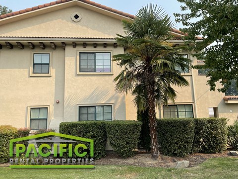 a building with a palm tree in front of it