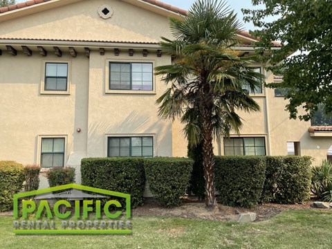 a building with a palm tree in front of it