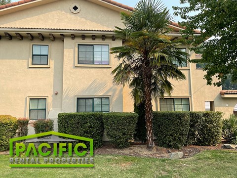a building with a palm tree in front of it