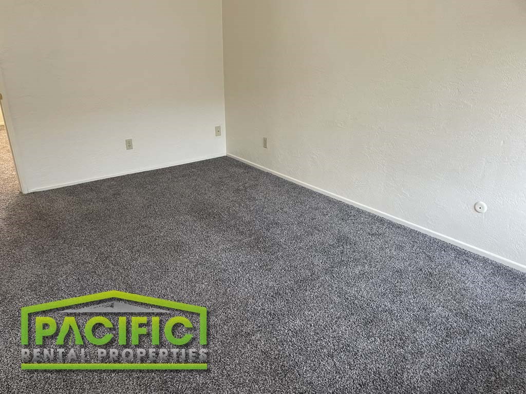 a carpeted room with a pacitech logo on the floor