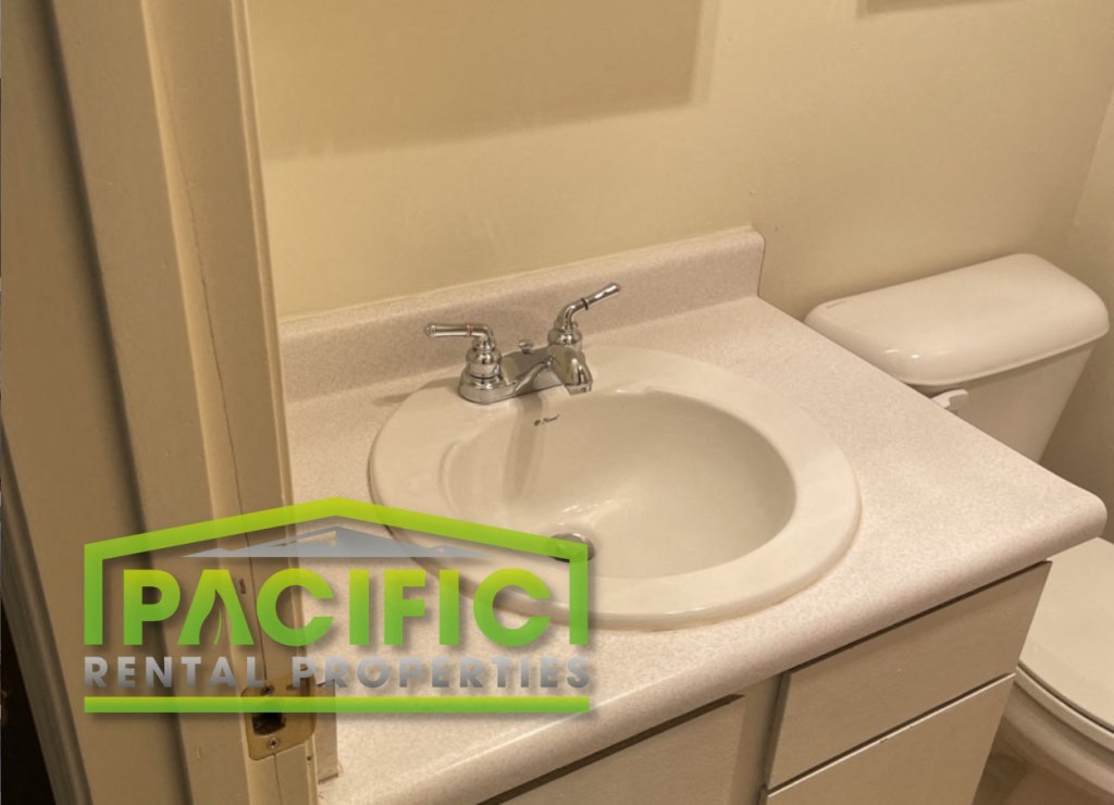 a bathroom with a sink and a toilet