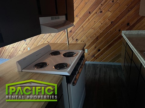 a stove top oven sitting on top of a kitchen counter