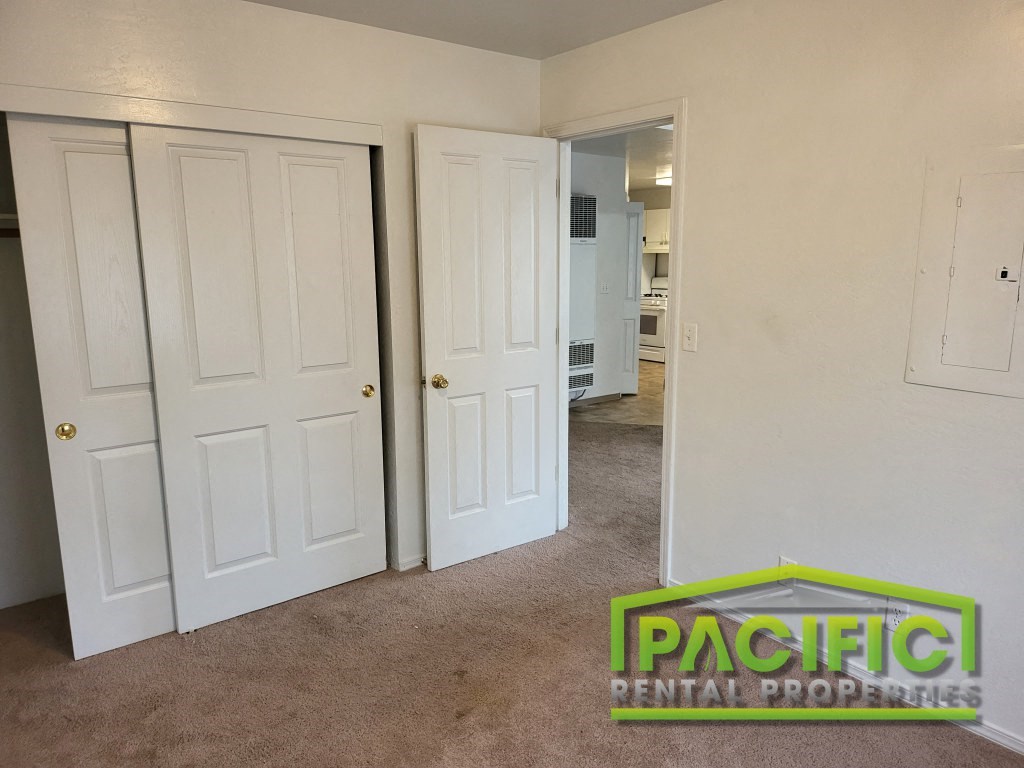 a bedroom with two closets and a carpeted floor