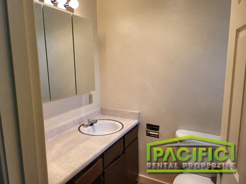 a bathroom with a sink and a mirror and a toilet