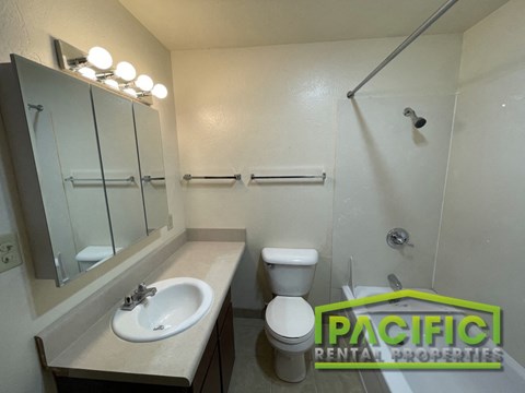 a bathroom with a sink and a toilet and a shower