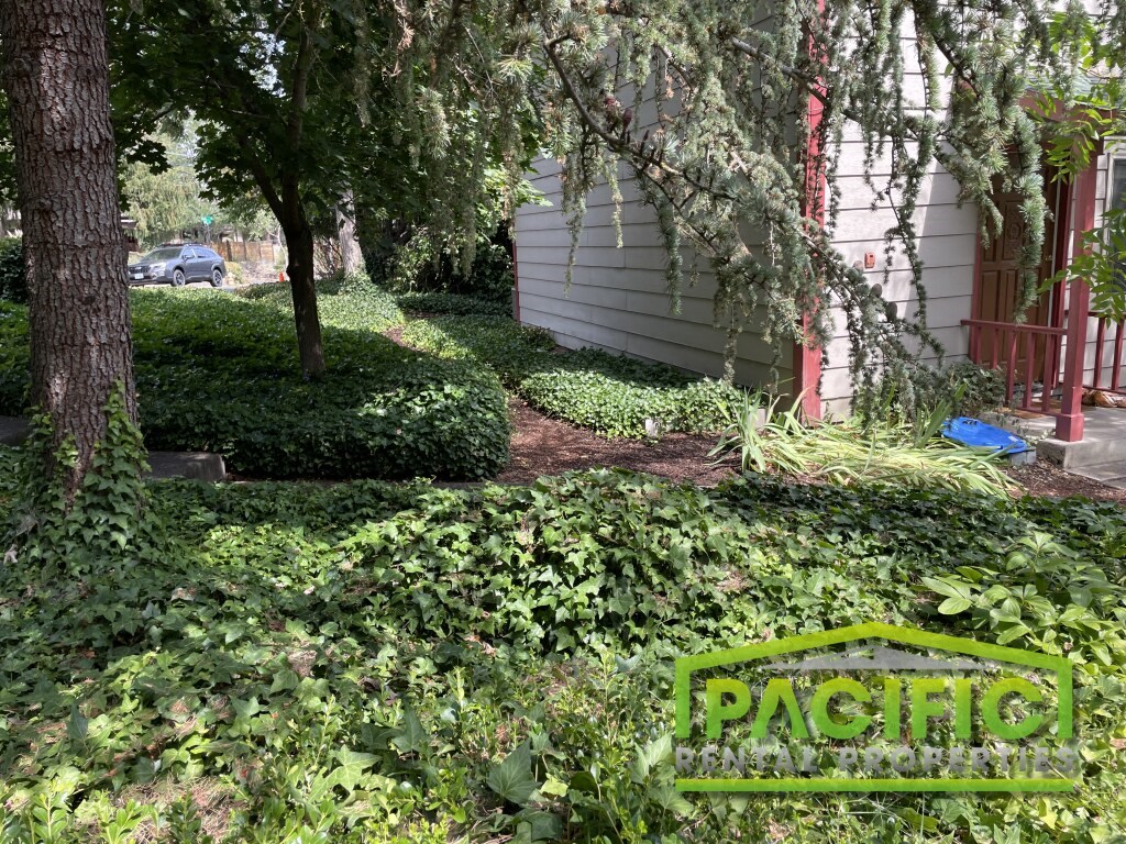 a yard with a lot of weeds in front of a house