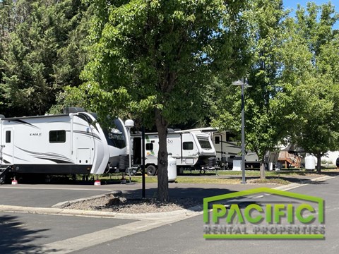 A row of RVs are parked in a lot with trees in the background.