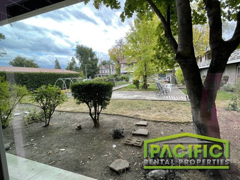 A view from a window looking out at a yard with a tree and a house in the background.