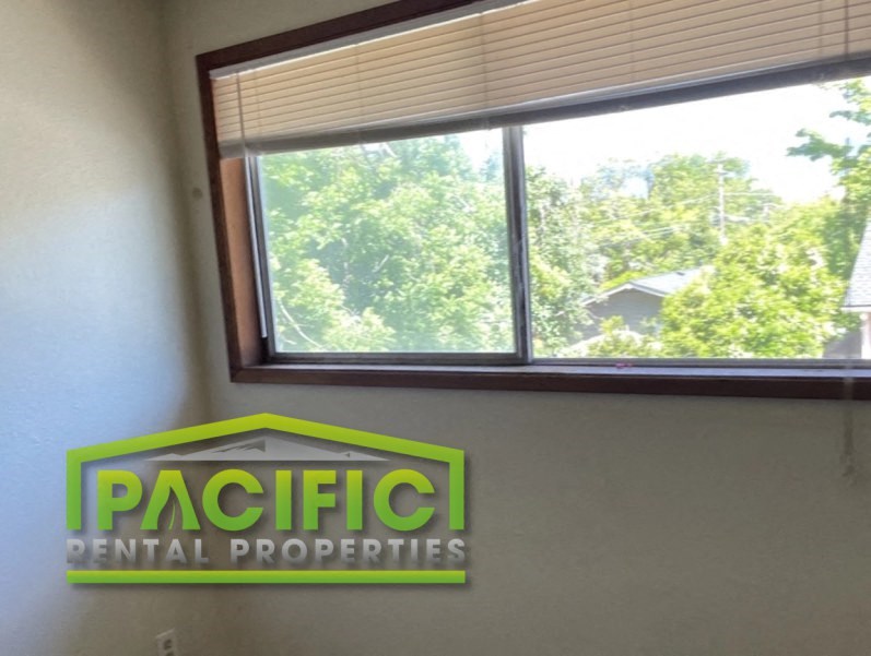 an office with a window and a pacific dental properties sign