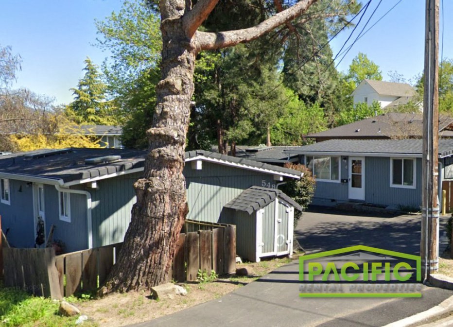 a tree in front of a street