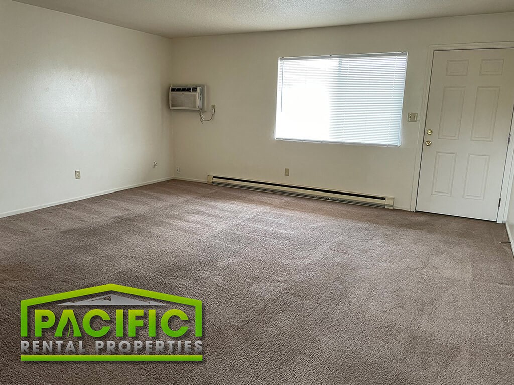 an empty room with a carpeted floor and a window
