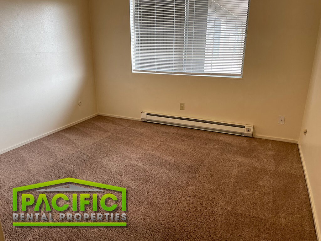 a room with a carpeted floor and a window