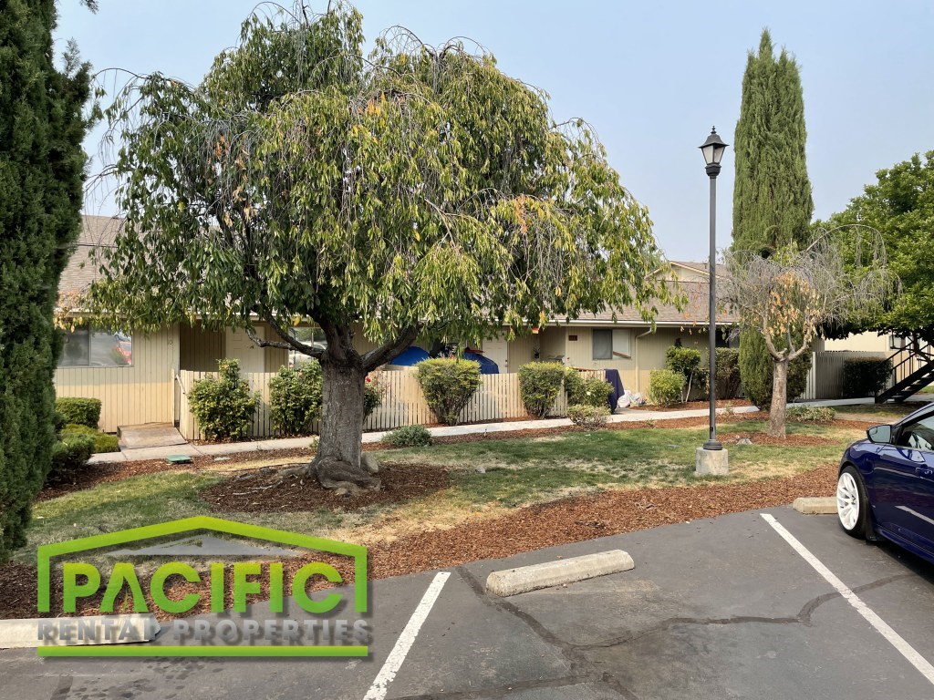 a building with a tree in front of it in a parking lot