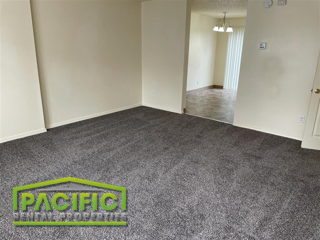 a carpeted room with a pacific logo on the floor