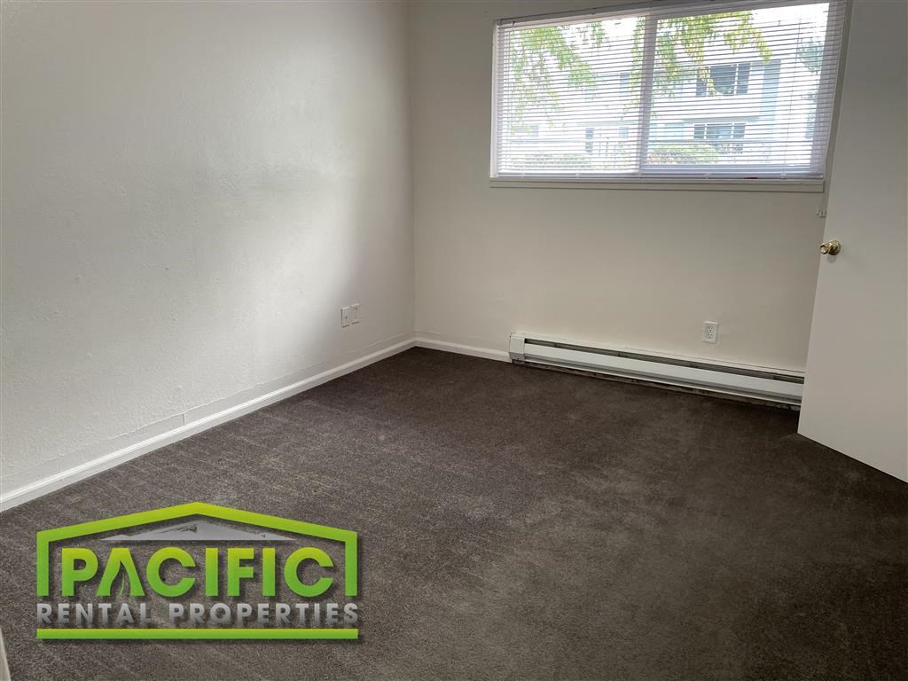 an empty room with a carpet and a window