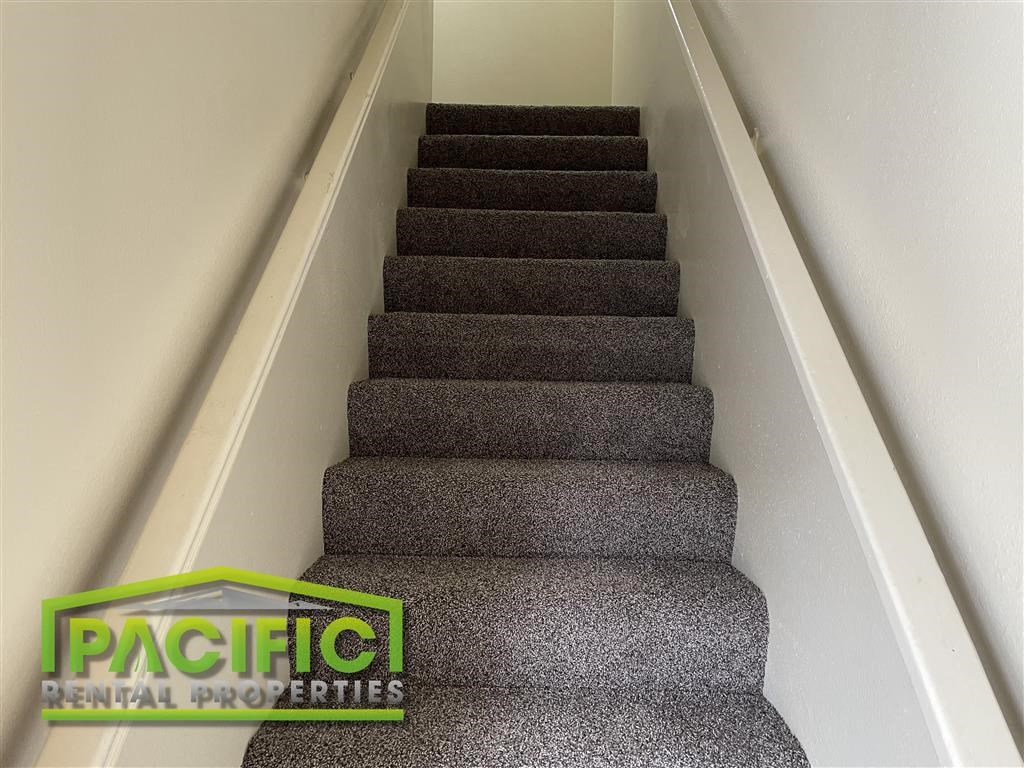 a carpeted staircase with grey carpet on the stairs