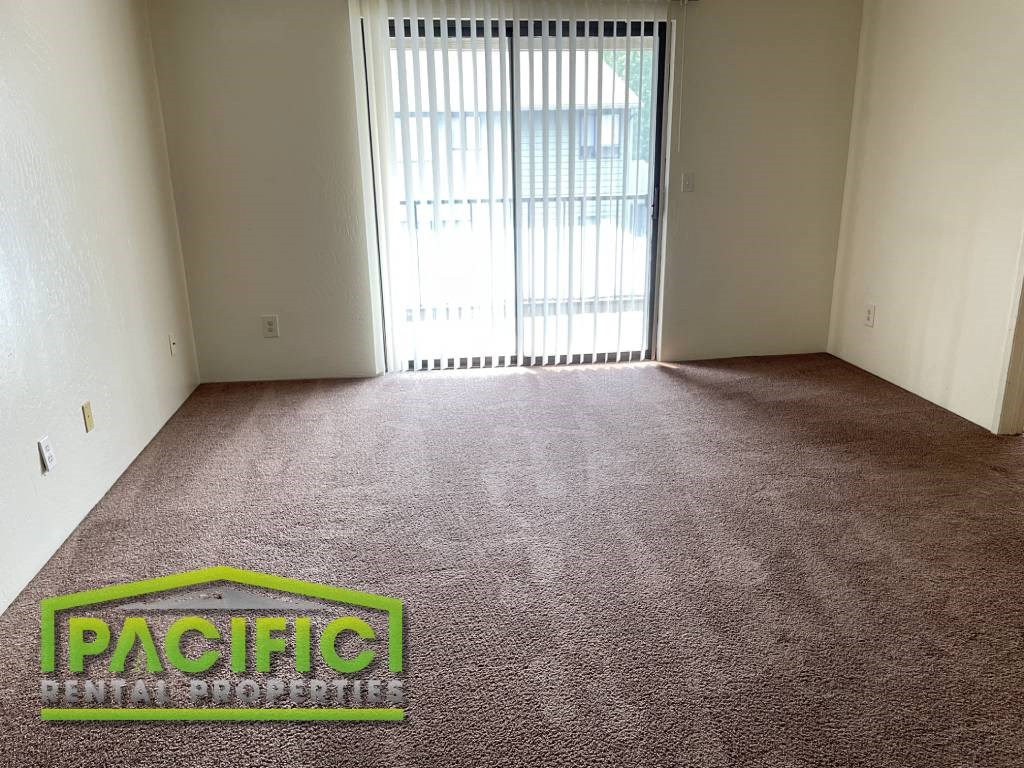 a carpeted room with a window and a pacific logo on the floor