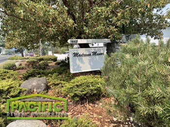 1665 Siskiyou Blvd Studio-2 Beds Apartment for Rent - Photo Gallery 3