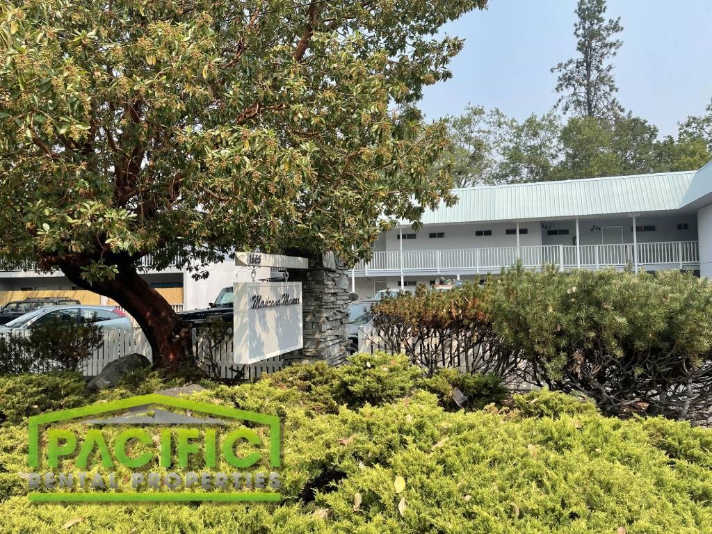 a building with a tree and bushes in front of it