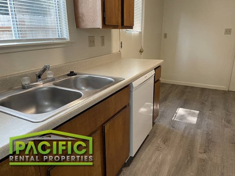 A kitchen with a sink and a dishwasher.