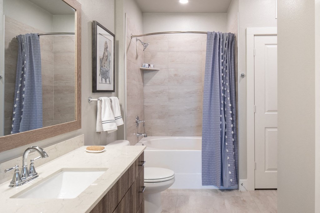 a bathroom with a shower toilet and sink and a mirror