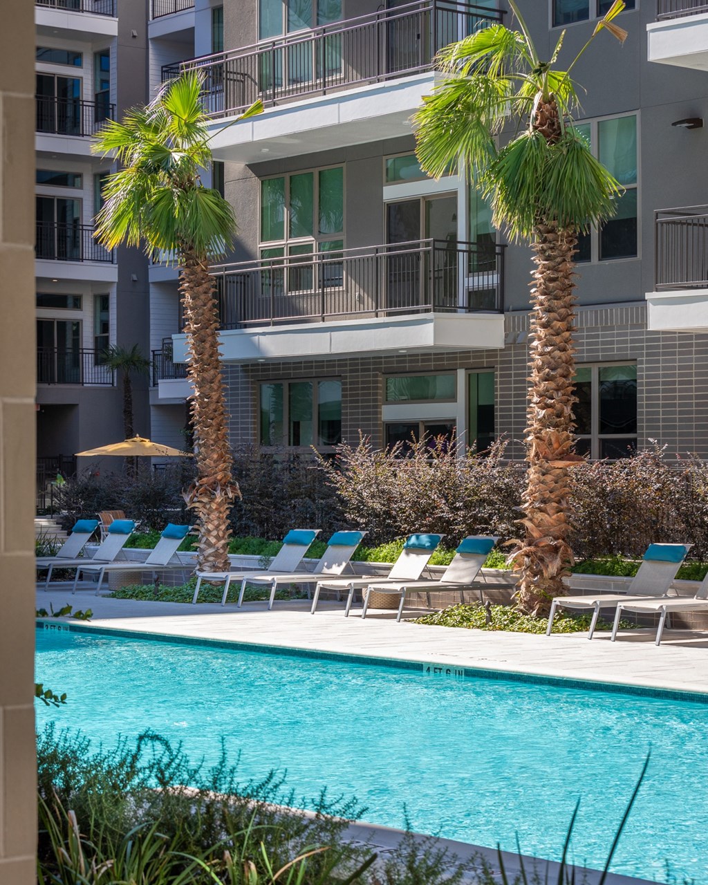 a swimming pool with palm trees in front of a building