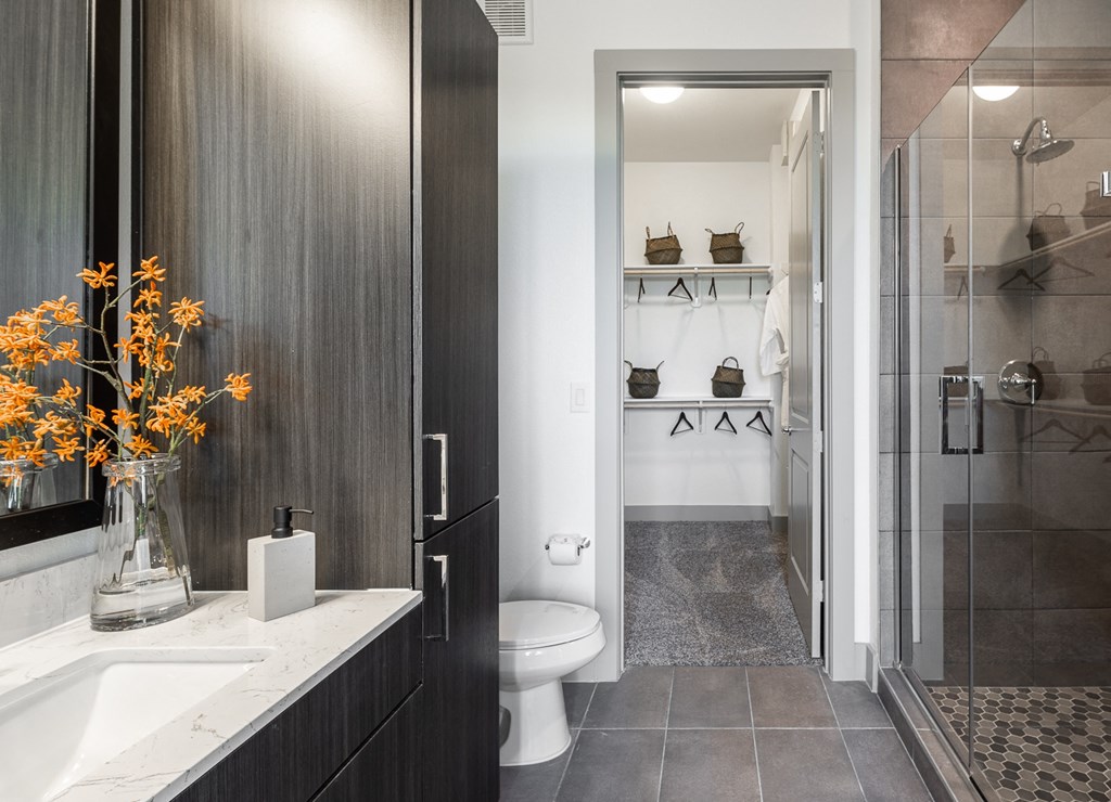 a bathroom with a shower and a sink and a toilet