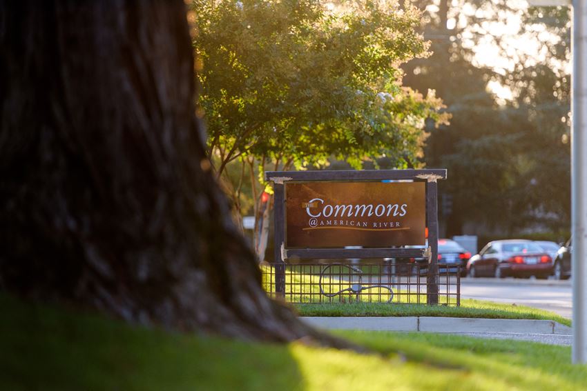 The Commons At American River Apartments, 2366 American River Drive