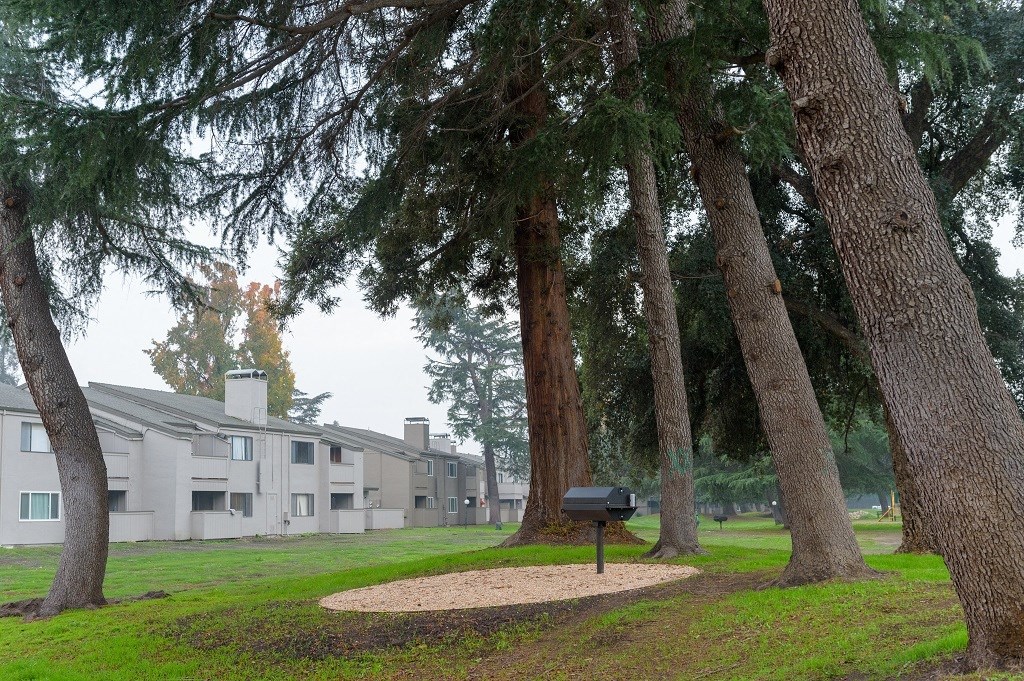 BBQ Area in Green Belt with Tall Pine Trees