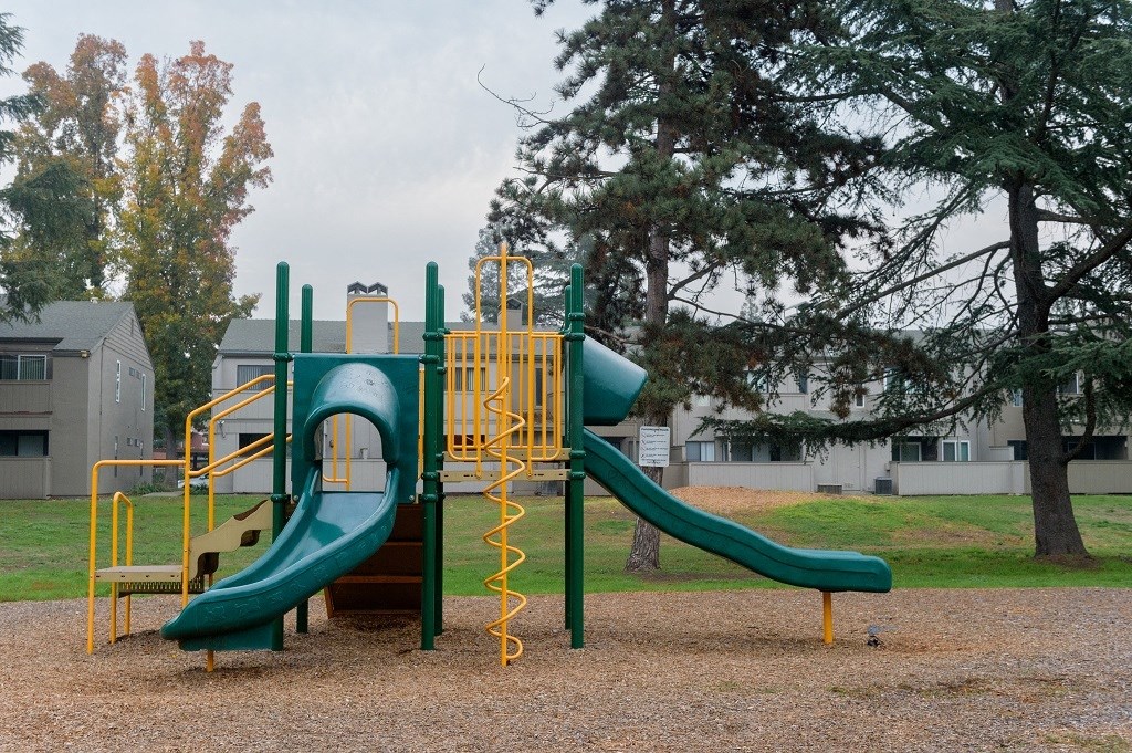 Playground Area with Jungle-Gym