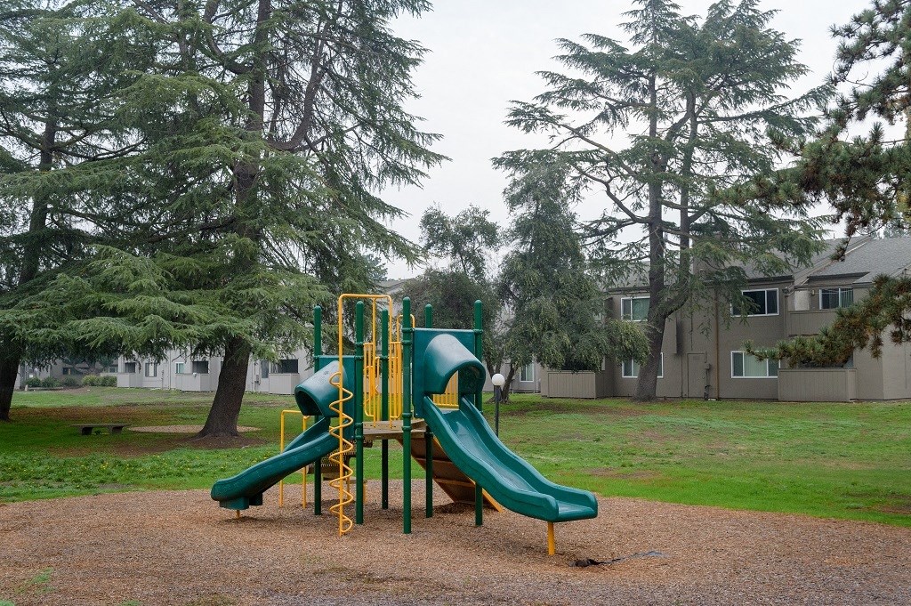 Playground Area with Jungle-Gym