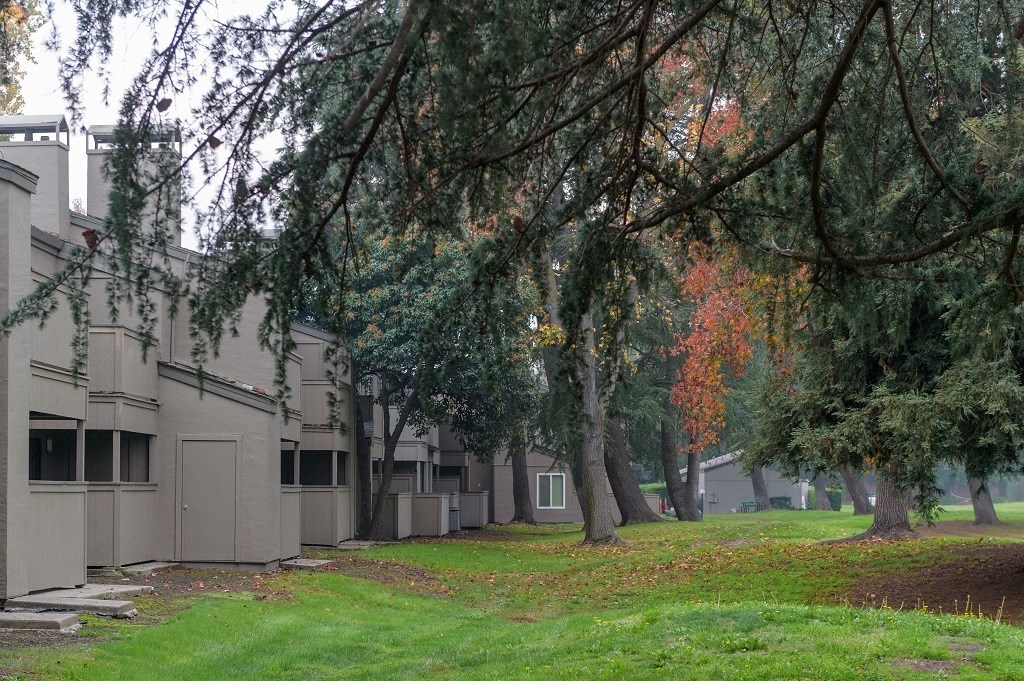 Greenbelt with Residential Building Exterior and Oak Trees