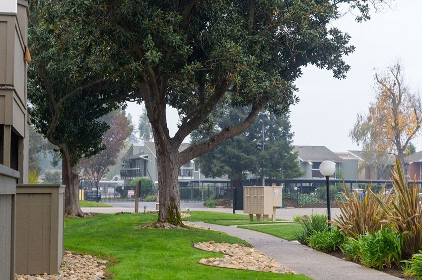 Laguna Park Apartments, 3639 W. Benjamin Holt Drive, Stockton, CA