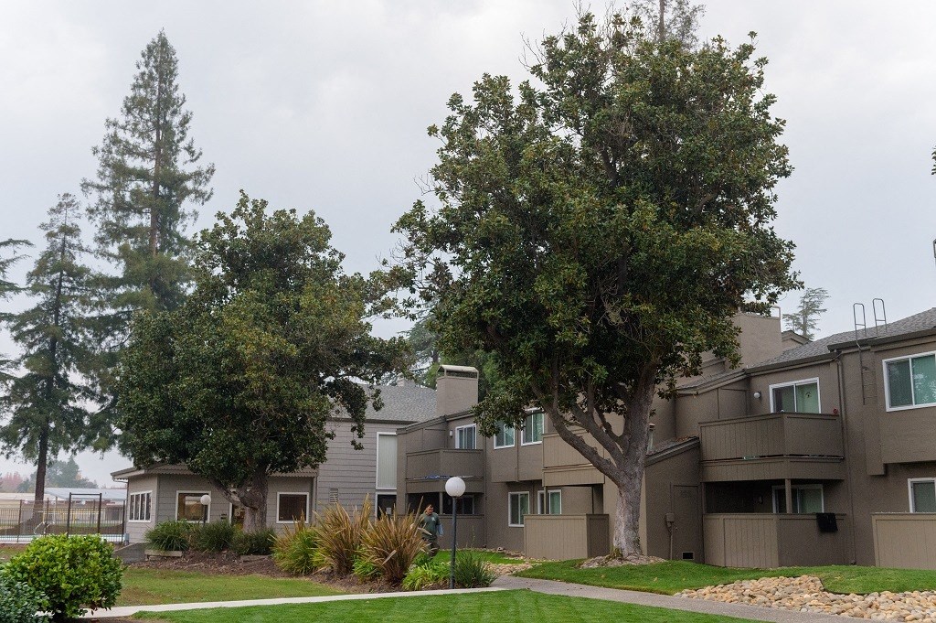 Residential Building and Walkway