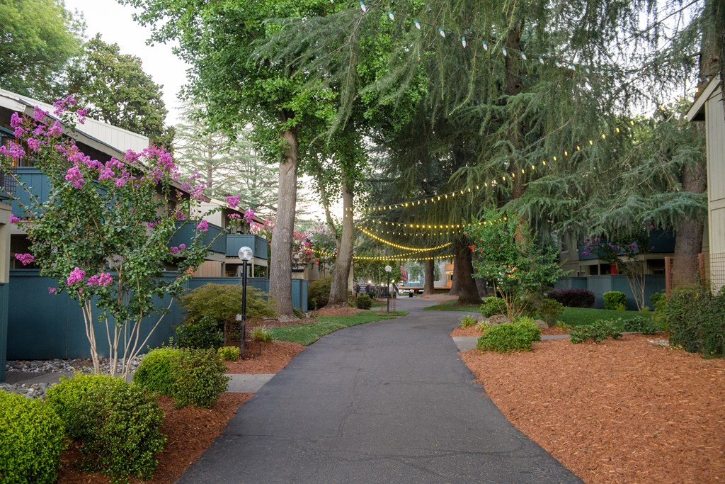 A pathway with a string of lights on the right side.