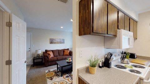 Birdcage Village Kitchen and Living Area