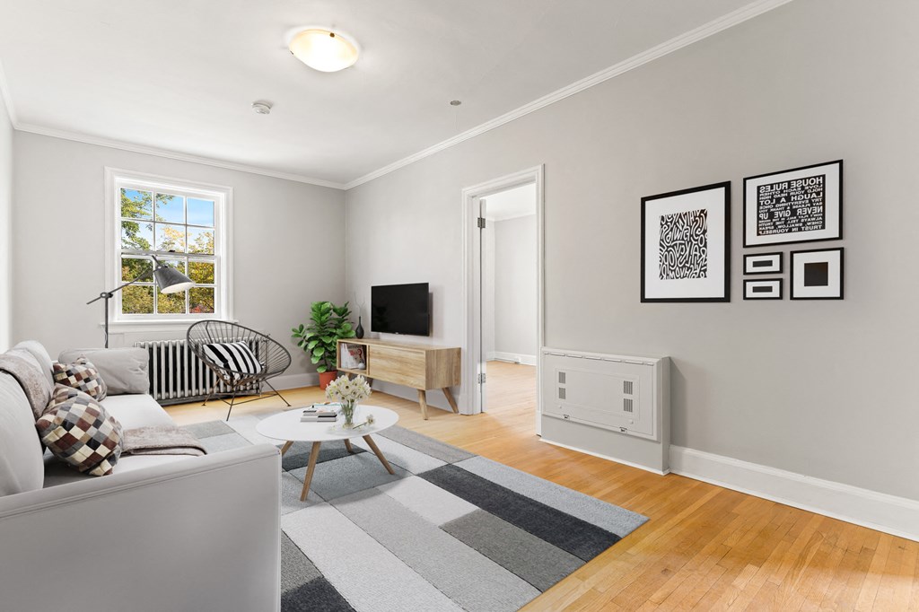 A living room with a grey couch, a coffee table, a plant, and a TV.