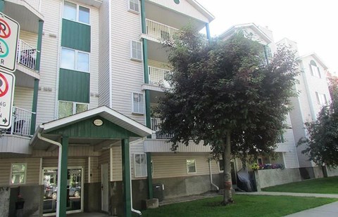 A tree is in front of a building with a green awning.