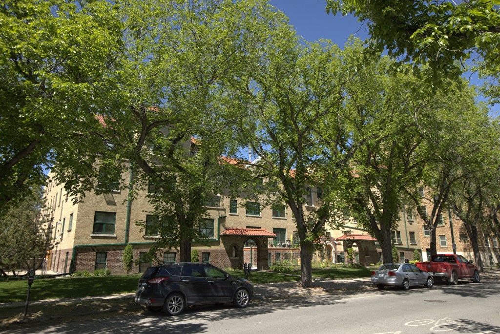 A black car is parked on the side of a street lined with trees.