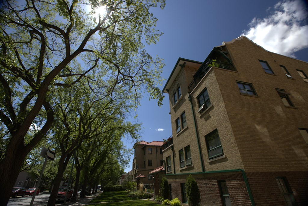 A tree with green leaves is in front of a building.