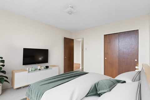 A bedroom with a bed, a TV, and a plant.