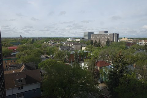 City Views