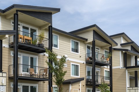Apartment building with balconies and a tree in front.