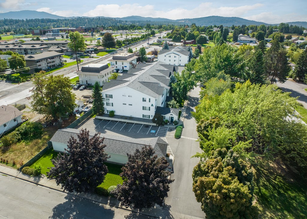 an aerial view of a neighborhood with houses and trees