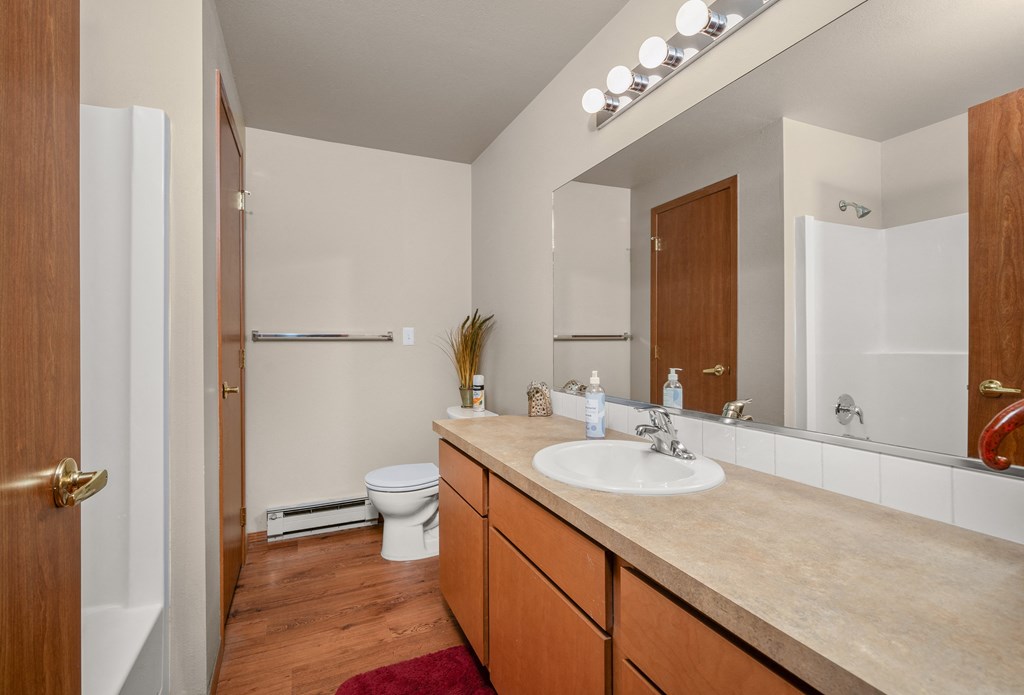 a bathroom with a sink and a toilet and a mirror