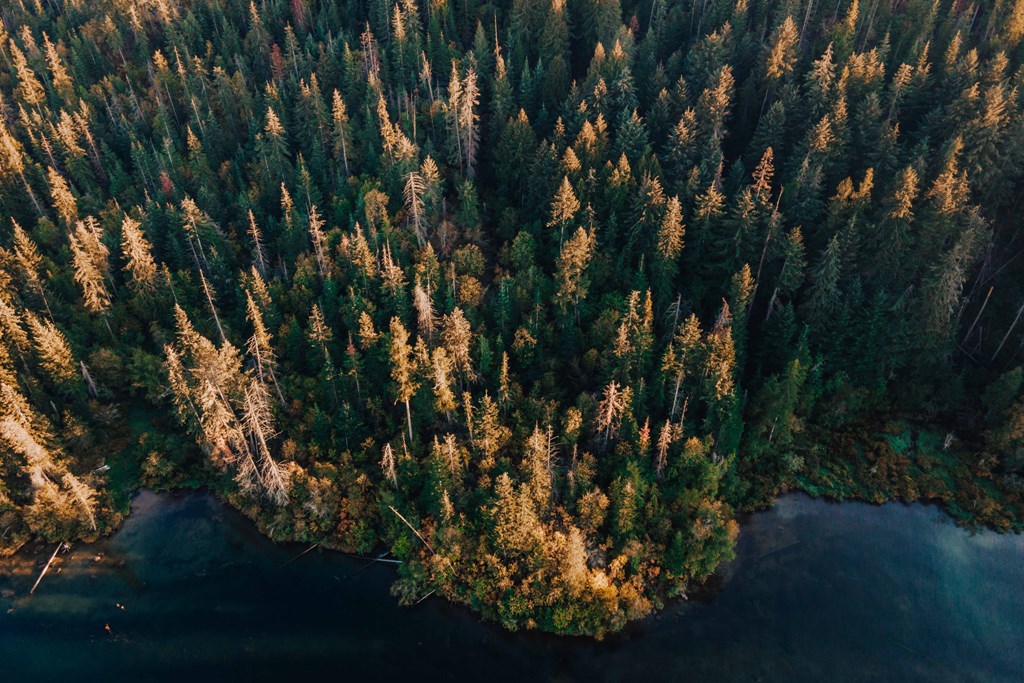 River's Edge Apartments