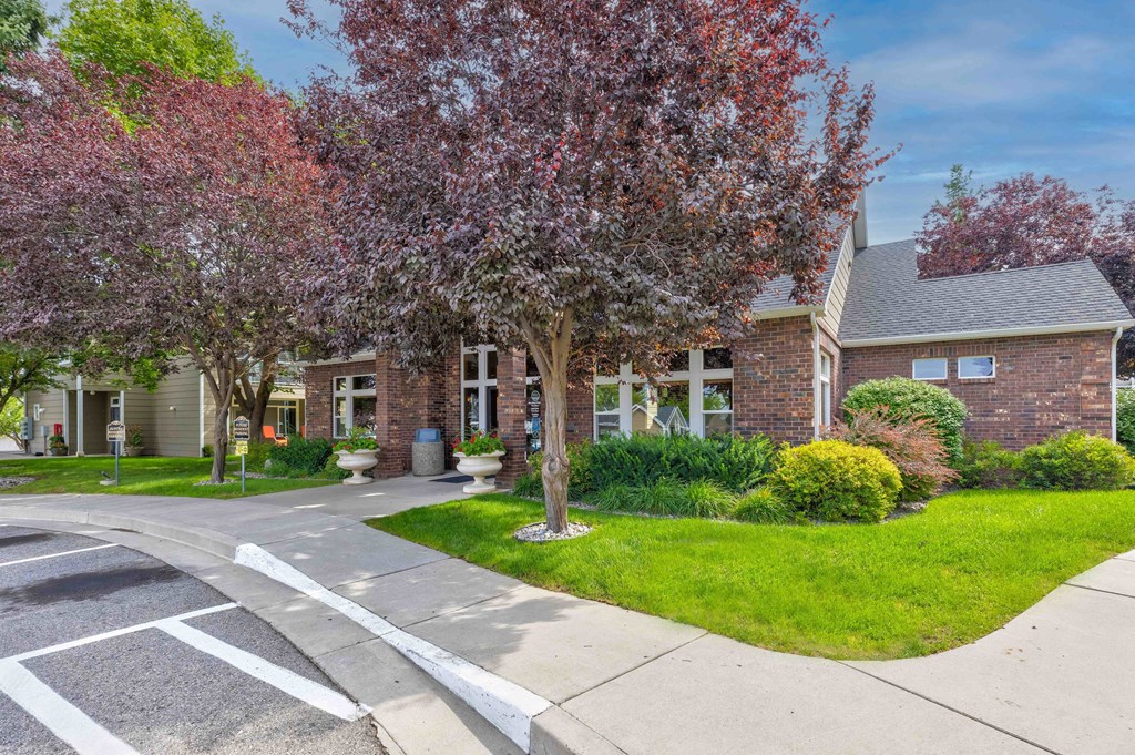 a street view of a house with a tree in front of it