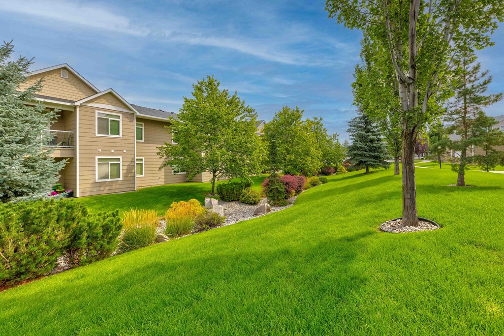 a house on a lush green lawn with trees